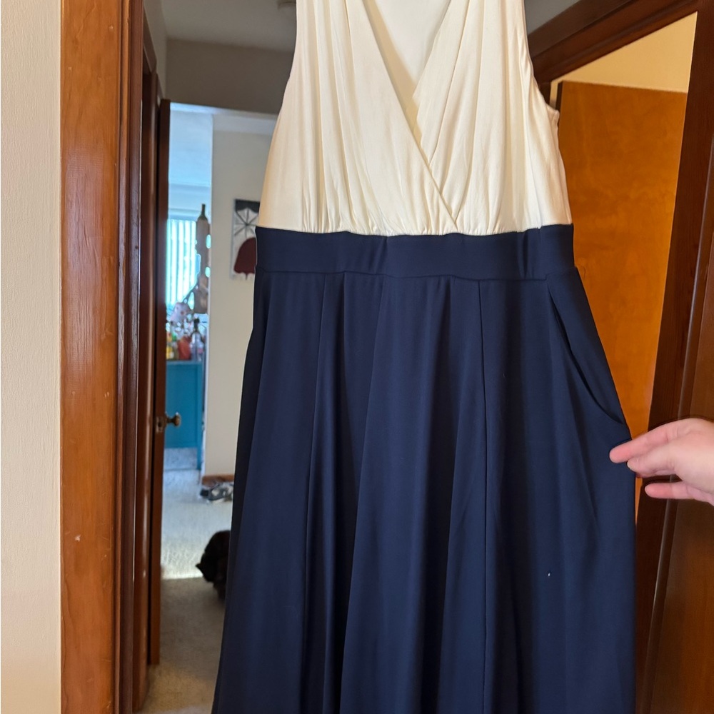 Elegant Two-Tone Dress